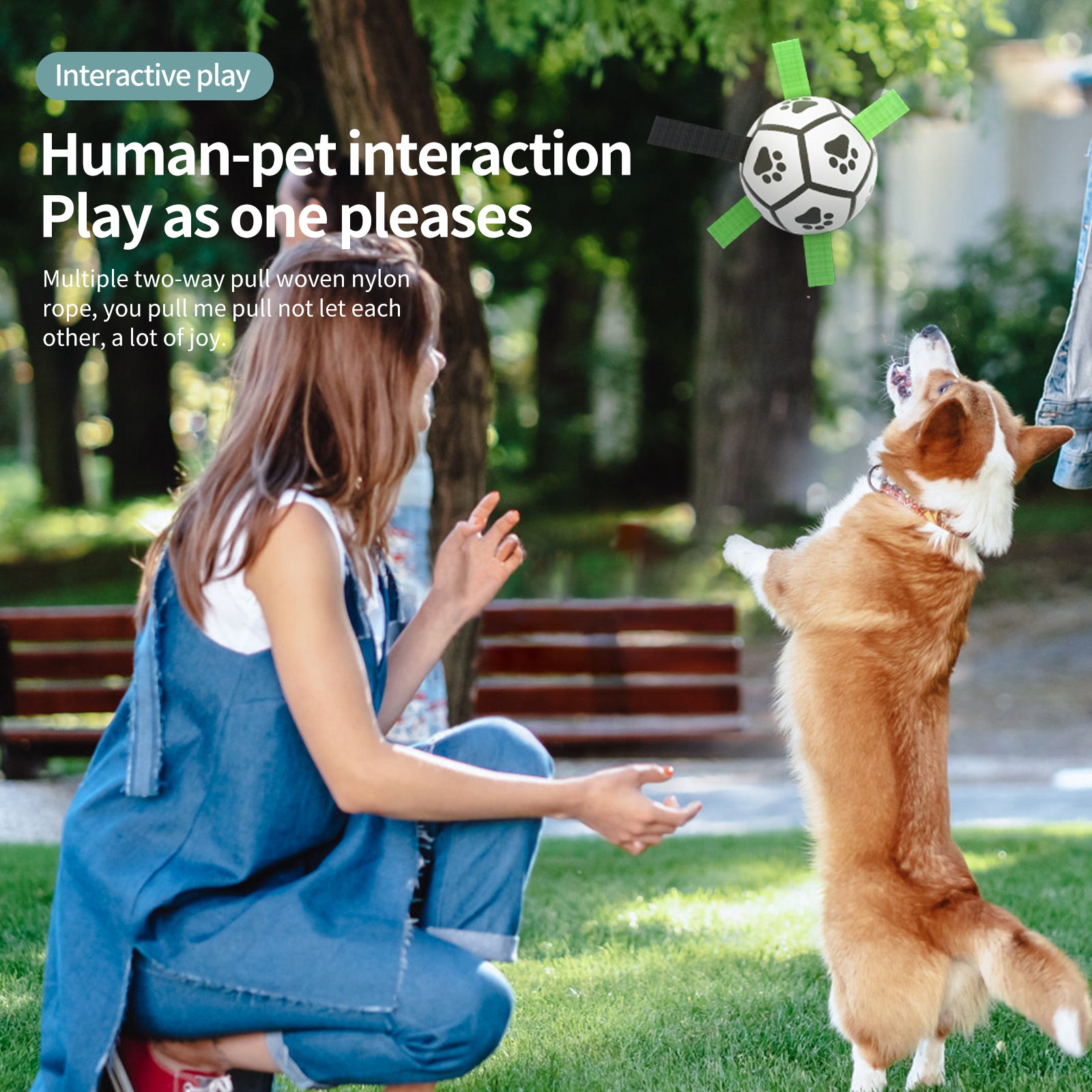 Interactive Dog Football Toy Soccer Ball Inflated Training Toy For Dogs Outdoor Border Collie Balls For Large Dogs Pet Supplies - T&A enterprises