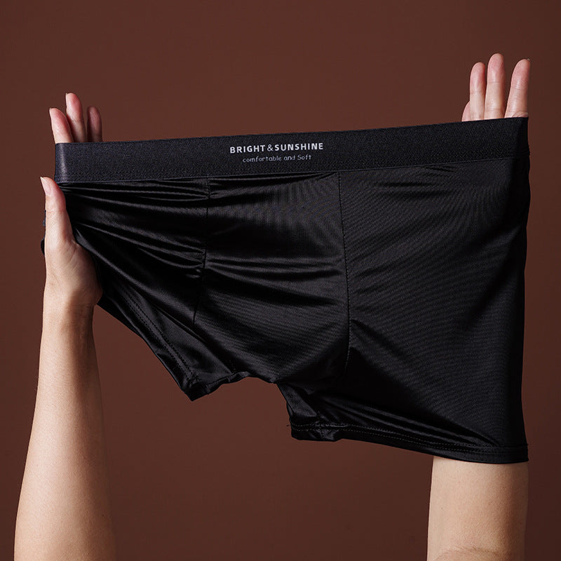 Mens Underwear 10A Antibacterial Crotch Boxer Briefs Breathable Smooth Seamless - T&A enterprises