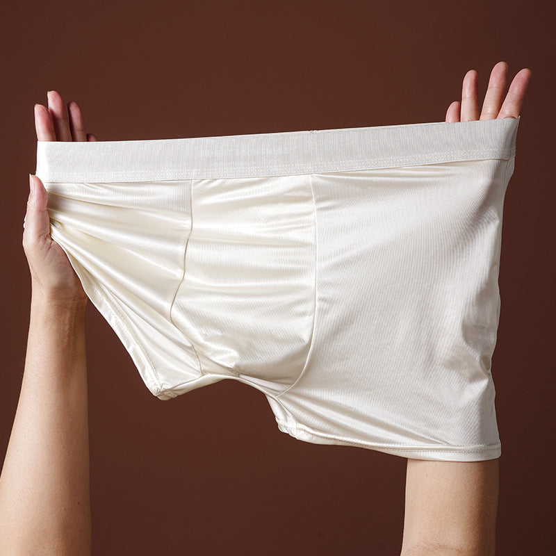 Mens Underwear 10A Antibacterial Crotch Boxer Briefs Breathable Smooth Seamless - T&amp;A enterprises