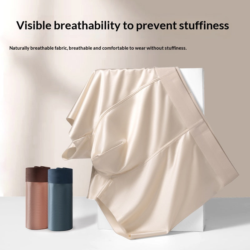 Light Luxury Satin Ice Silk High-End  Silk Antibacterial Mens Underwear - T&amp;A enterprises