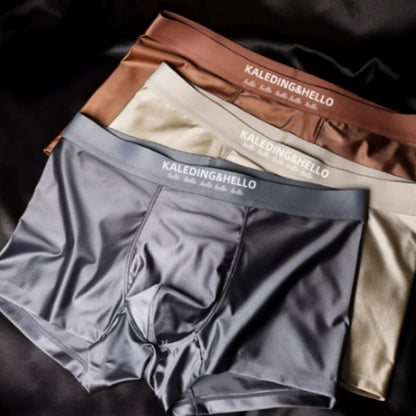 Satin Ice Silk Mens Underwear, Cool And Comfortable Boxer Briefs - T&amp;A enterprises