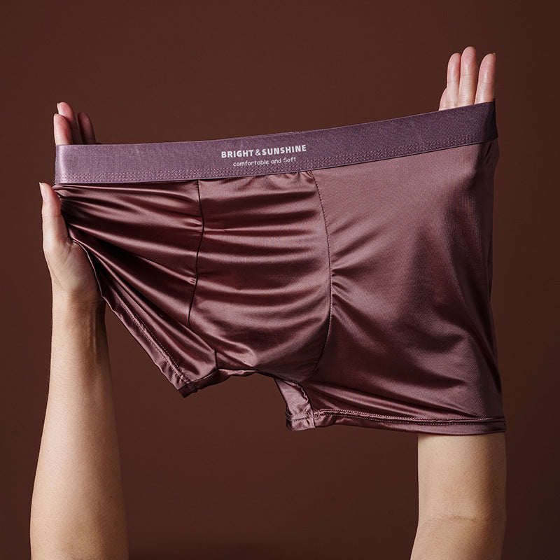 Mens Underwear 10A Antibacterial Crotch Boxer Briefs Breathable Smooth Seamless - T&amp;A enterprises