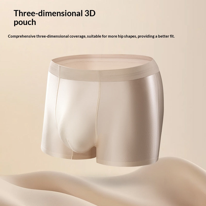 Light Luxury Satin Ice Silk High-End  Silk Antibacterial Mens Underwear - T&amp;A enterprises