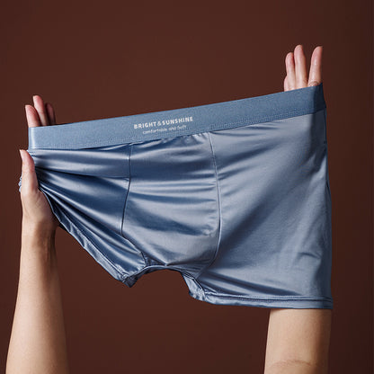 Mens Underwear 10A Antibacterial Crotch Boxer Briefs Breathable Smooth Seamless - T&amp;A enterprises