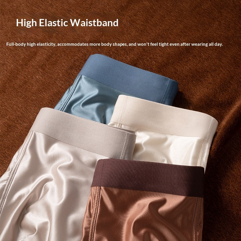 Light Luxury Satin Ice Silk High-End  Silk Antibacterial Mens Underwear - T&amp;A enterprises