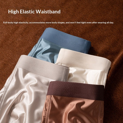 Light Luxury Satin Ice Silk High-End  Silk Antibacterial Mens Underwear - T&amp;A enterprises