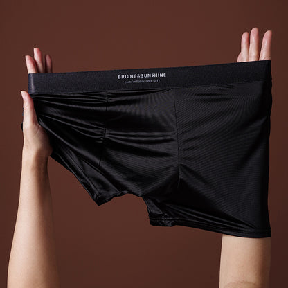 Mens Underwear 10A Antibacterial Crotch Boxer Briefs Breathable Smooth Seamless - T&amp;A enterprises
