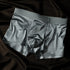 Comfortable And Healthy 10A Antibacterial Mulberry Silk Crotch High-Elastic Seamless Waistband Boxer Briefs - T&A enterprises