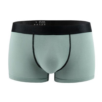 Standard Mens Sexy Underwear Modal Low-rise - T&amp;A enterprises