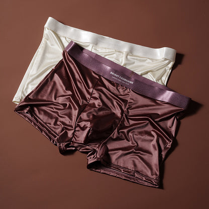 Mens Underwear 10A Antibacterial Crotch Boxer Briefs Breathable Smooth Seamless - T&amp;A enterprises