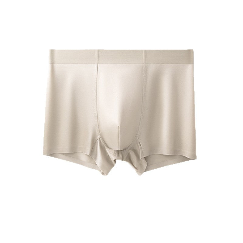 Light Luxury Satin Ice Silk High-End  Silk Antibacterial Mens Underwear - T&amp;A enterprises